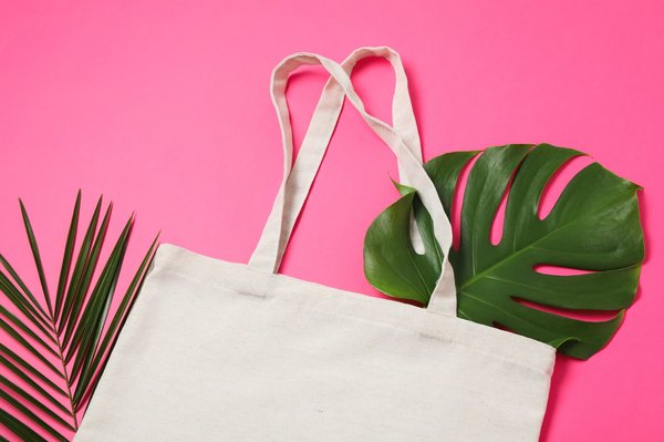 Comment planifier un séjour éco-responsable dans les îles du Cap-Vert?