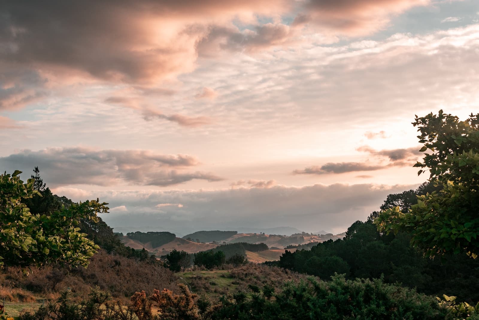 a field with trees and a sky filled with clouds